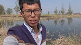 还是用七星漂钓草洞过瘾，全是大鲫鱼