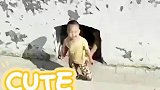 一家三口走迷宫5小时，等没人排队从狗洞爬出