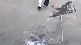 我太聪明了，我就知道我爸是懒不是有病