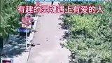 给校长的这波操作点赞！网友：他原来也是个孩子，心里有一颗爱孩子的心