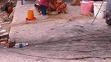 鸡他还太小，长大点咱再收拾他