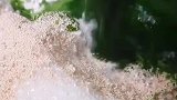 这是什么花卷？