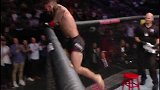 UFC格斗之夜168：布拉德-里德尔VS穆斯塔法耶夫