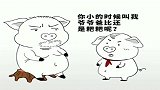 猪屁登：粑粑被屁登套路，不得不洗碗。