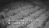7旬老人种蒜被连偷3年！一查竟是同村人，女儿：第2年直接偷光