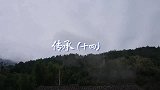 茶农炫耀百年古董，老屋野蜂窝惊现不明生物