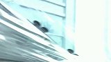 老板我今天陪你出门，可是办了件大事