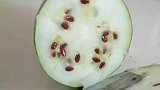 你这西瓜真是太冬瓜了