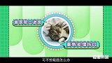 扒一扒铲屎官的造反神器——耻辱圈！？