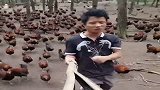 这气势，这阵仗，史上最壮观演唱会！