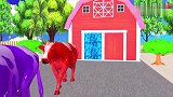 奶牛走出房门吃草莓学颜色