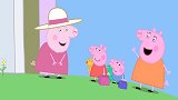小猪佩奇：猪爷爷正炫耀蔬菜，突然没了声音，他的生菜都不见了