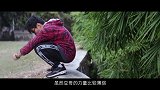 豆车一分钟：广东有哪些车企豆哥用广东话给大家聊聊