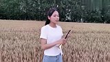 宝石杰唢呐吹这首经典歌曲你还记得吗