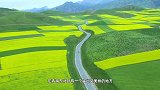 每年七八九月有多万人来这里，美景太多，是青海最不可错过的旅游