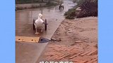 唉，拉不完不能吃饭