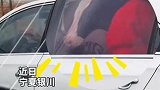 宁夏银川：男子轿车内塞奶牛一路狂奔