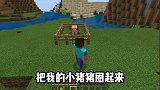 我的世界：不同年级养猪的区别