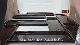 水坑障碍挑战，喵星人能不沾水通过吗？接下来忍住别笑