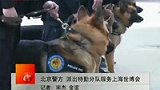 北京警犬特勤队赴世博 在机场安保服务-4月29日