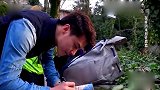 《花样姐姐》：花样团来到许愿墙，他们会许什么愿望呢