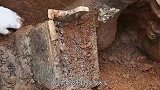 新疆发现神秘古墓群，7座古墓挖出1万多根木头，地点细思极恐