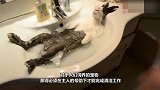 熊猫宝宝不爱洗澡，被妈妈拖进水池后，一脸委屈我是充话费送的