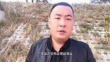农民艰辛劳作为了什么？他们又得到了什么？对生活只能无奈面对