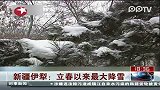 新疆伊犁立春以来最大降雪
