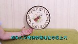 挂钟表有讲究，看看你家挂对了吗，学会避开几个地方