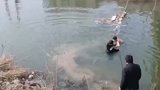为见义勇为的英雄点赞