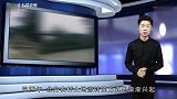 粮食价格转变,改写农村农业格局,推动土地流转,创造更大利润