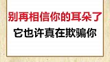 别再相信你的耳朵了