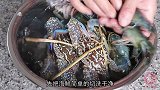 盐焗海鲜的做法，干香鲜甜，原汁原味，吃海鲜就是爽