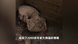 汉文帝霸陵殉葬坑发现2000多年前大熊猫骨骼-骨架完整，头向帝陵