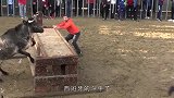 公牛遭到人类挑衅，一头把男子撞进水中，真是太危险了