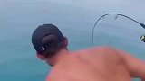 男子海钓小鲨鱼，鲨鱼妈妈一看急坏了