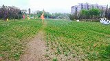 走过人的花海，最美的山西社火公园