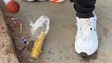 用大肉丸吸引鱼，看看它上不上钩了