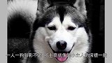 哈士奇去叫小主人起床，一小时过去没声响，看见这幕笑坏了