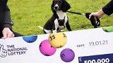 爱犬非要主人遛，遛狗途中买彩票，喜中443W大奖！