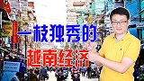 2020年越南GDP跃居东南亚第四，越南经济为何能一枝独秀？