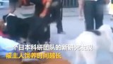 日本新研究 狗能与主人心心相印 饲养时间越长越容易同步
