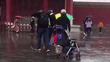 爸妈牵手游故宫宝宝自己推车追赶：你们是不是忘了还有个孩子