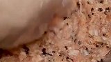 花开富贵肉蛋卷的做法火山美食