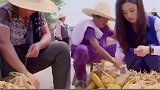 农村出生的三位明星 你还知道哪些农村出生的明星呢？易烊千玺 赵丽颖 赵本山