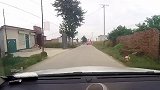一不留神就会有“鬼探头”，农村小路真不适合开车！