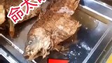 这应该是命最硬的鱼了吧