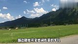 不撸串？德国人夏天爱干啥？德国童话小镇，体验传统德式啤酒花园