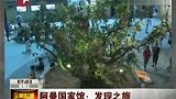 阿曼馆形似帆船 乳香环绕展多样地貌-7月23日